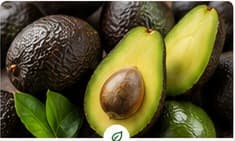 Palta orgánico de FDO Organic